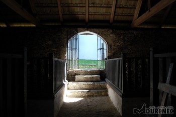 Photos of the grave - Ossuary