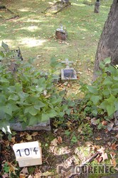 Photos of the grave 104