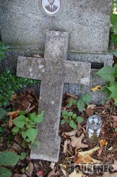 Photos of the grave 108