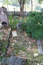 Photos of the grave 109