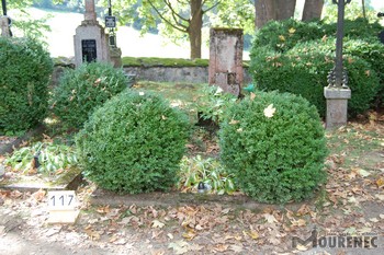 Photos of the grave 117