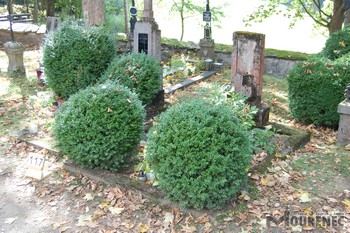 Photos of the grave 117
