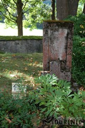 Photos of the grave 117