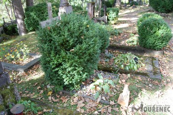 Photos of the grave 121