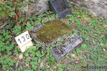 Photos of the grave 130