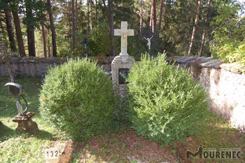 Photos of the grave 132