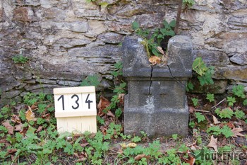 Photos of the grave 134