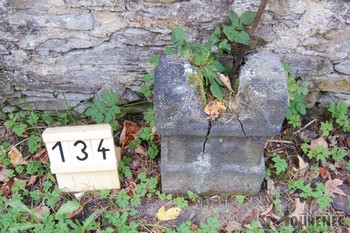 Photos of the grave 134