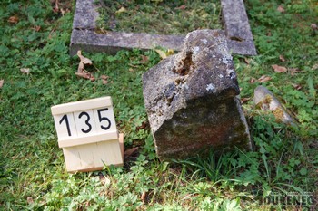Photos of the grave 135