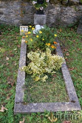 Photos of the grave 137
