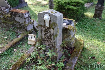 Photos of the grave 147