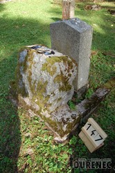 Photos of the grave 147