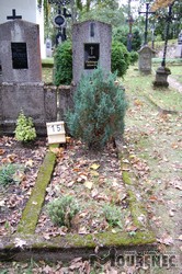 Photos of the grave 15