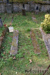 Photos of the grave 152