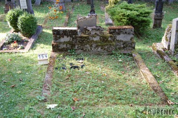 Photos of the grave 154