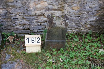 Photos of the grave 162