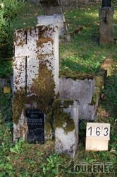 Photos of the grave 163