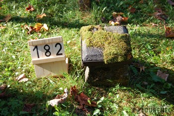 Photos of the grave 182