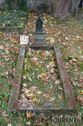 Photos of the grave 194