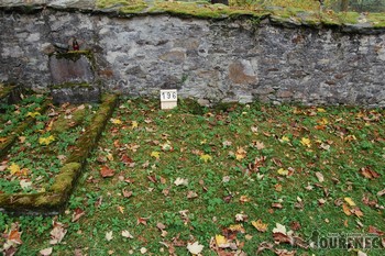 Photos of the grave 196