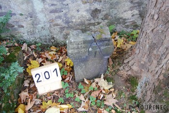 Photos of the grave 201