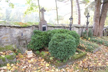 Photos of the grave 204