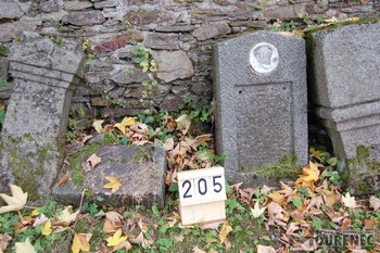 Photos of the grave 205