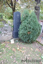 Photos of the grave 29