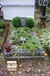 Photos of the grave 4