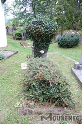 Photos of the grave 42