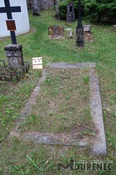 Photos of the grave 49