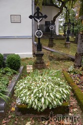 Photos of the grave 5