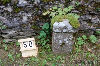 Photos of the grave 50