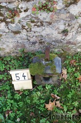 Photos of the grave 54