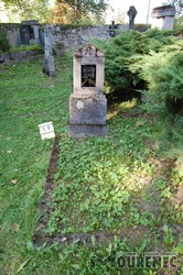 Photos of the grave 58