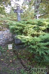 Photos of the grave 60