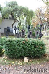 Photos of the grave 7