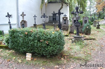 Photos of the grave 8