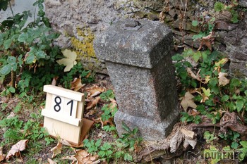 Photos of the grave 81