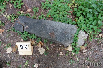Photos of the grave 96