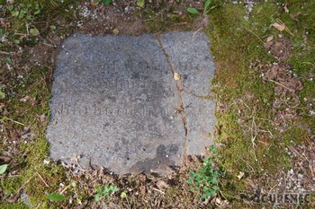 Photos of the grave 98