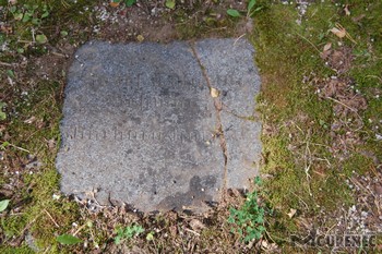 Photos of the grave 98
